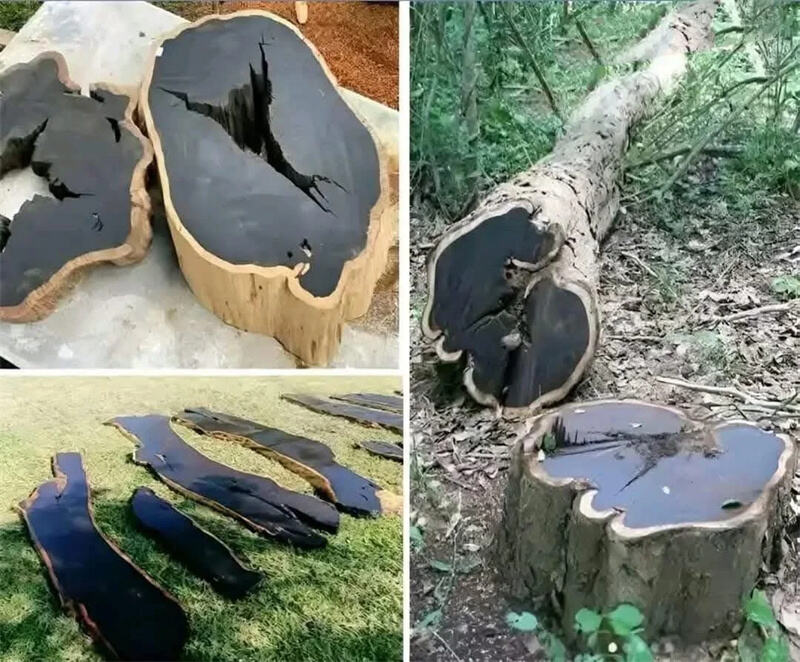 ニュース - GUILIN IANGO CO., LTD.